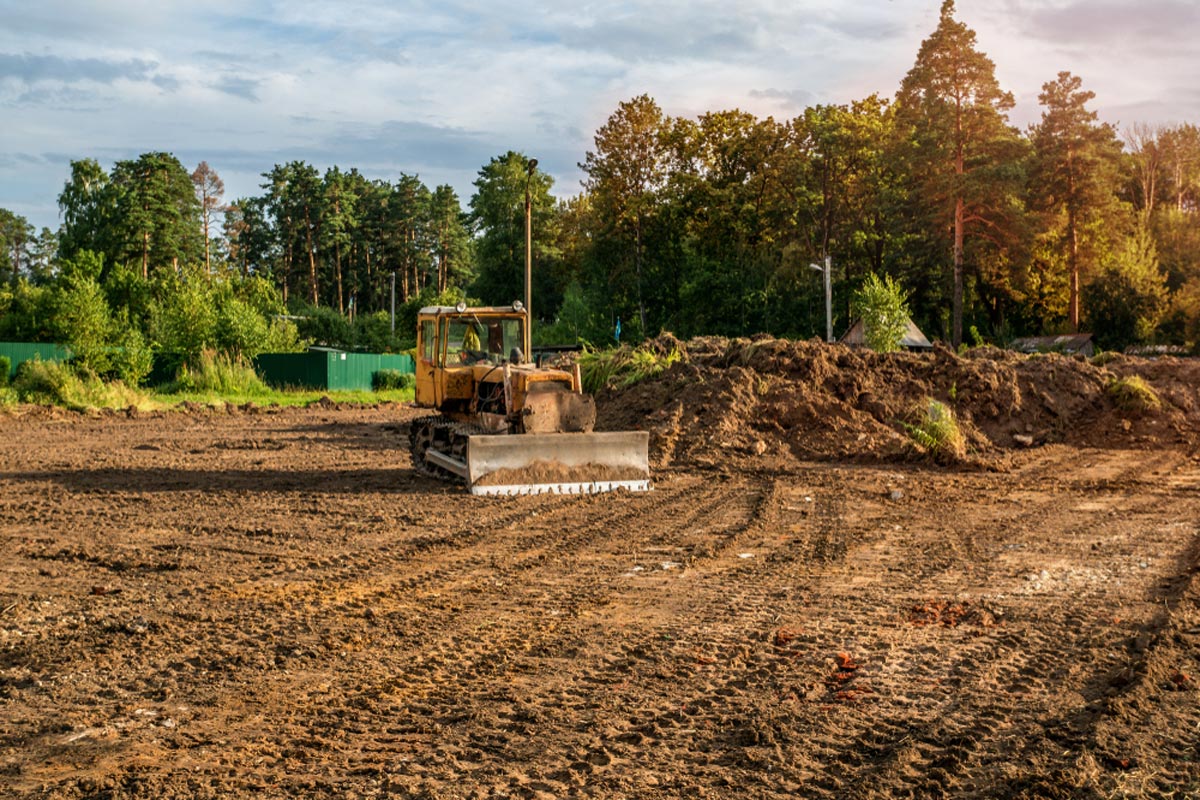 lot clearing image